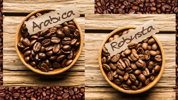 انواع قهوه از نظر نژاد