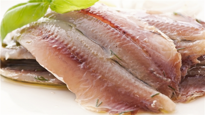 معرفی ماهی شیر