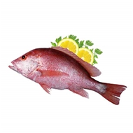 ماهی سرخو اصل 1  کیلویی دونا