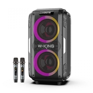 اسپیکر بلوتوث دبلیو کینگ W-King T9 Pro توان 100 رم و فلش خور با 2 میکروفون