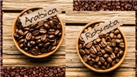 انواع قهوه از نظر نژاد