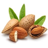 بادام سنگی اعلاء 750 گرمی دونا