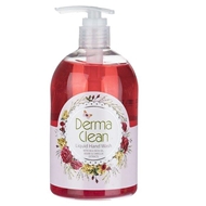 مایع دستشویی مدل Jujube حجم 500 میلی لیتری درماکلین