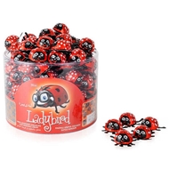 شکلات ترکیه ای طرح کفشدوزک بسته 55 عددی الوان