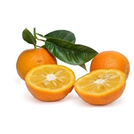 نارنج تازه دستچین 1 کیلوگرمی دونا