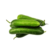 خیار اصفهان دستچین 500 گرمی