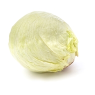 کاهو پیچ تازه 1 عددی