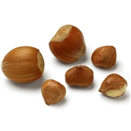 فندق با پوست خام 1 کیلویی اعلاء دونا