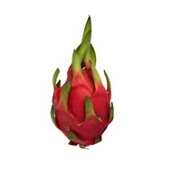 دراگون فروت قرمز 1 عدد