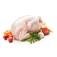 گوشت بوقلمون 1 کیلوگرمی تازه دونا