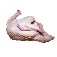سینه با بال و گردن بوقلمون 1 کیلوگرمی