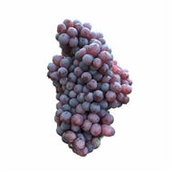 انگور قرمز بی دانه دستچین شده 1 کیلوگرمی دونا