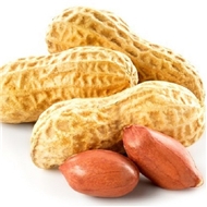 بادام زمینی با پوست خام 750 گرمی دونا