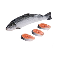 ماهی سالمون نروژی اصل 1 کیلوگرمی
