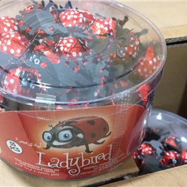 شکلات ترکیه ای طرح کفشدوزک بسته 55 عددی الوان