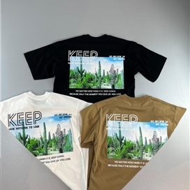 تی‌شرت مردانه سوپر پنبه دو رو چاپ